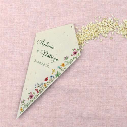 Cono Portariso Cassiopea